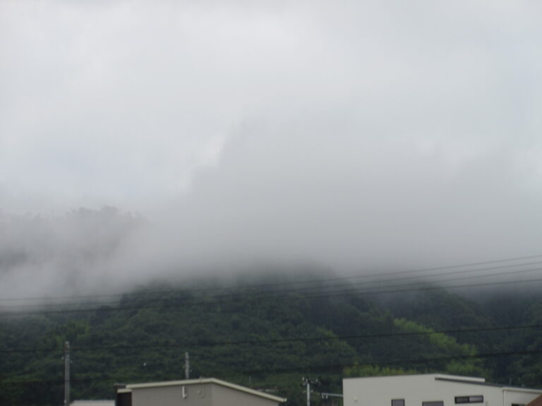 本日は、雨