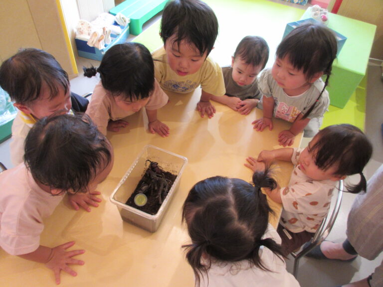 カブト虫がやって来た！