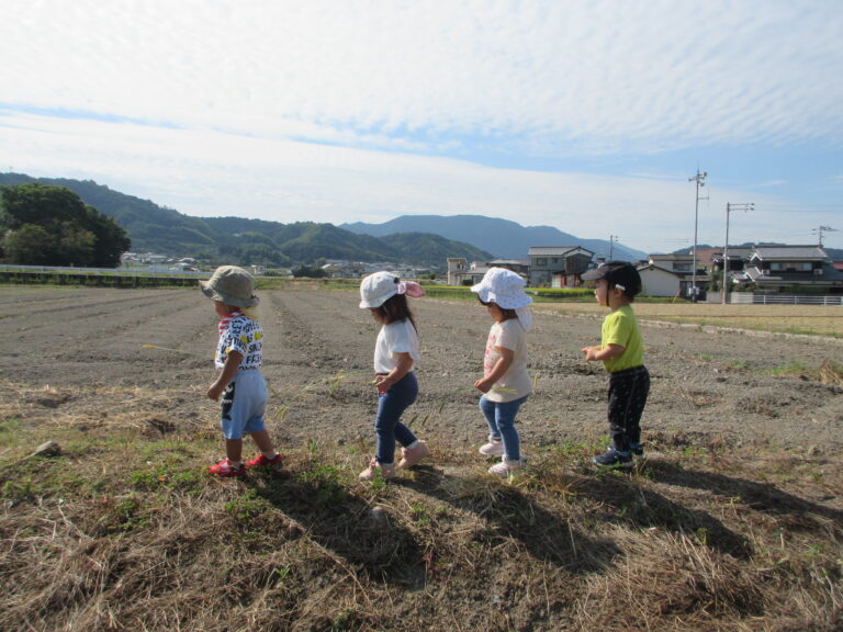 秋さんぽ（1歳児）