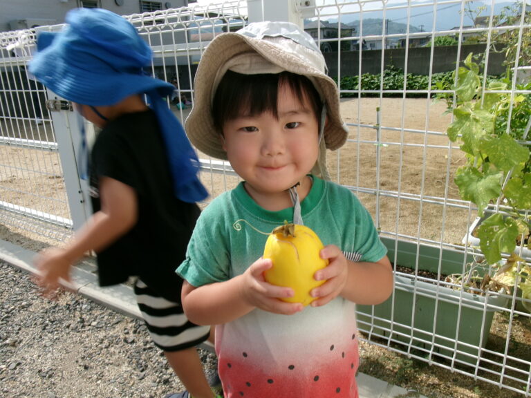 育ったよ！